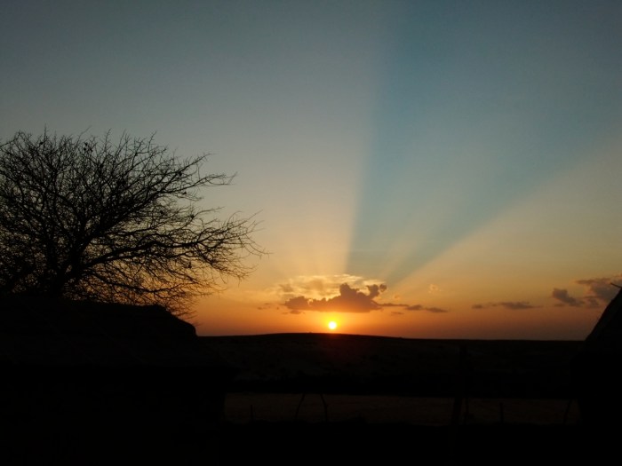 unglaubliche Schönheit