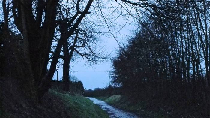 Finally on the trail! Old Tongeren Road on my way to Brustem, lined by hedges and orchards.