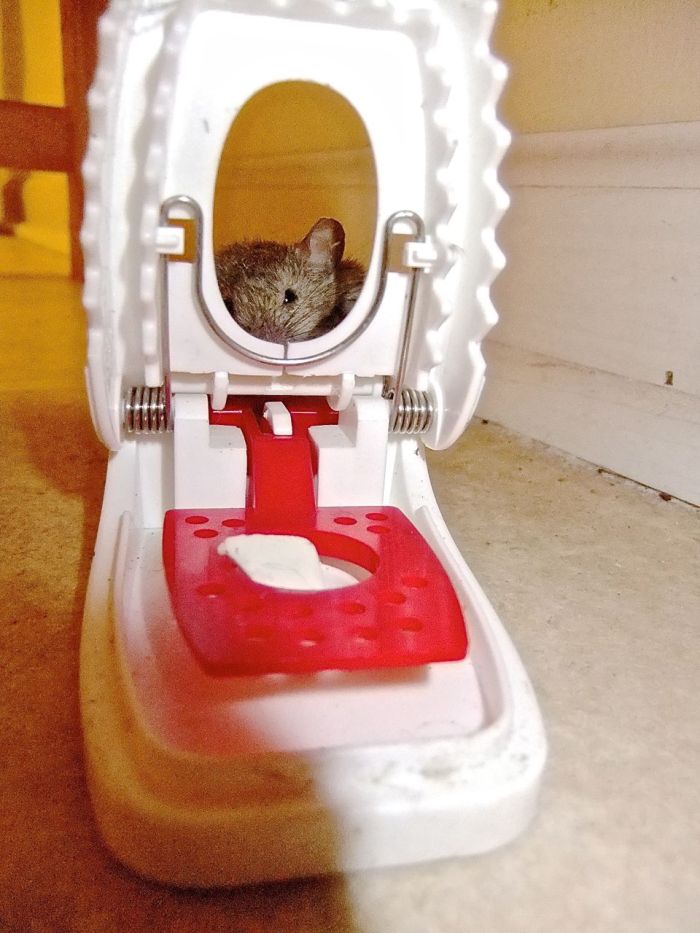 to live consciously - bewusst leben