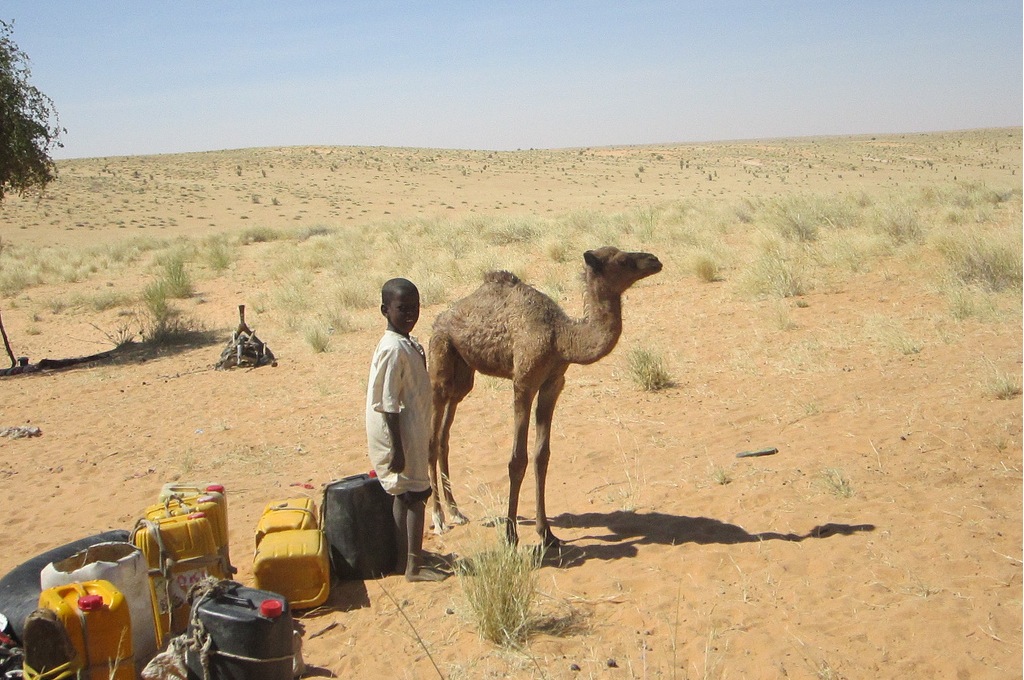 photo credit: Jessica Jonker