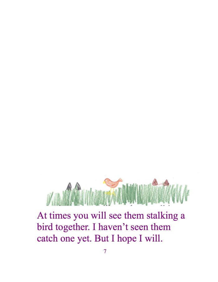 Manchmal kannst du beobachten wie die beiden einem Vogel auflauern. Ich habe noch nie gesehen wie sie einen fangen. Doch ich hoffe ich werde es.