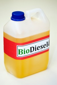 154891-283x424-biodieseljug