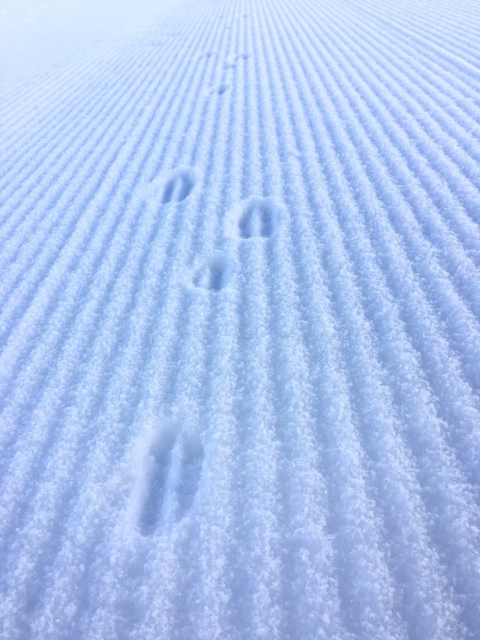 It is easier to run in winter on a groomed trail...