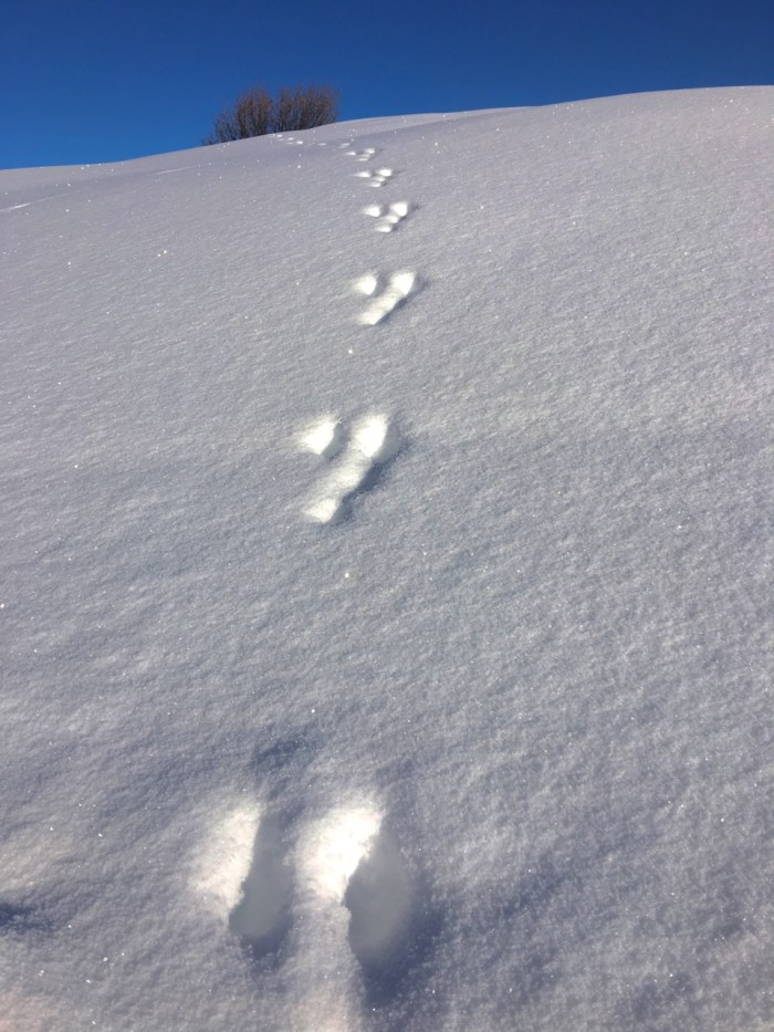 ...than in deep snow.