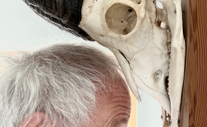 Die grosse Befreiung